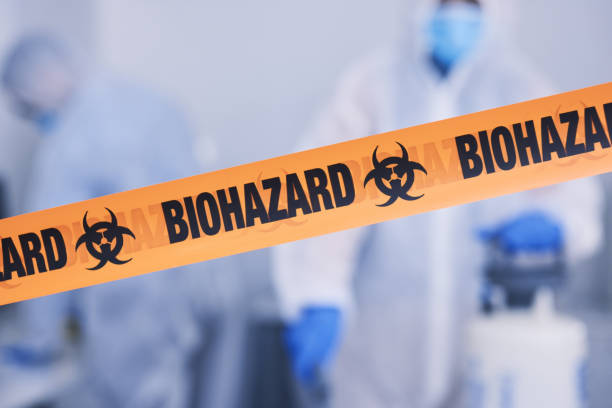 Professional Odor Removal technician working in Hortonville, WI